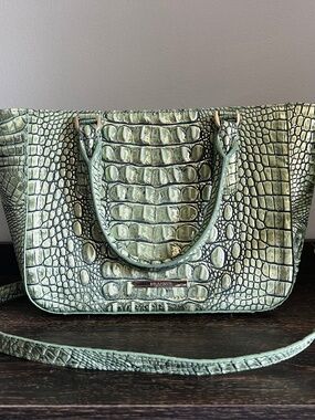 🌵 Brahmin Agave Asher Melbourne bag perfect eye in back!